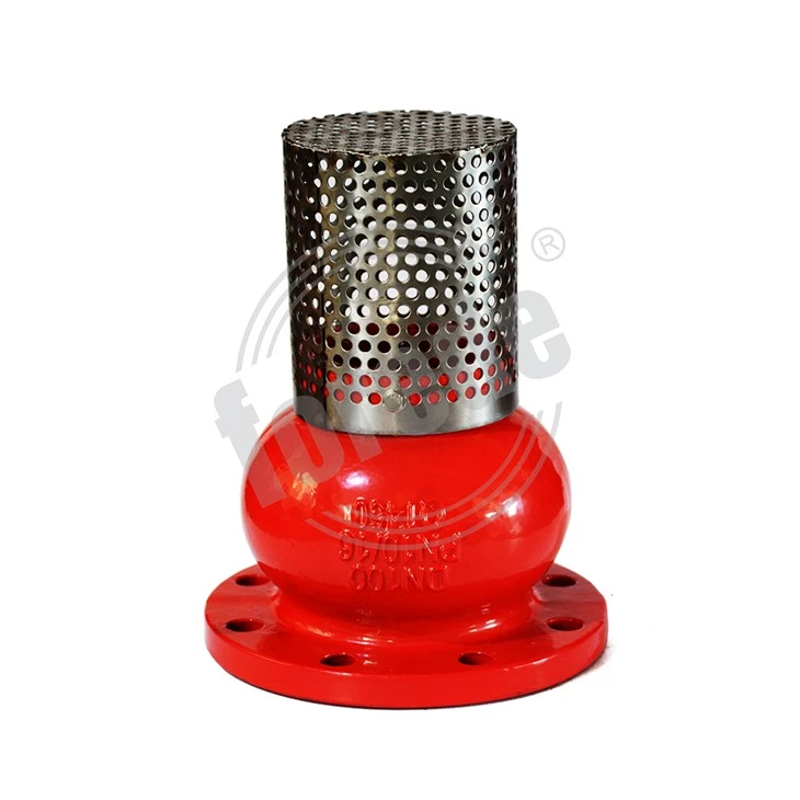 Flanged End Foot Valve