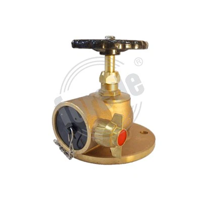 Hanes Hydrant Tân